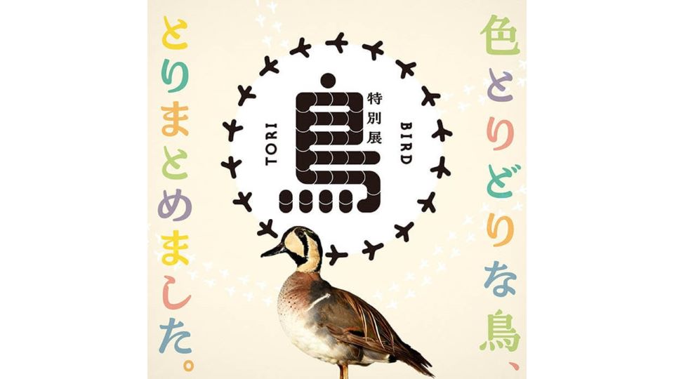 特別展『鳥』2024年11月2日開幕！